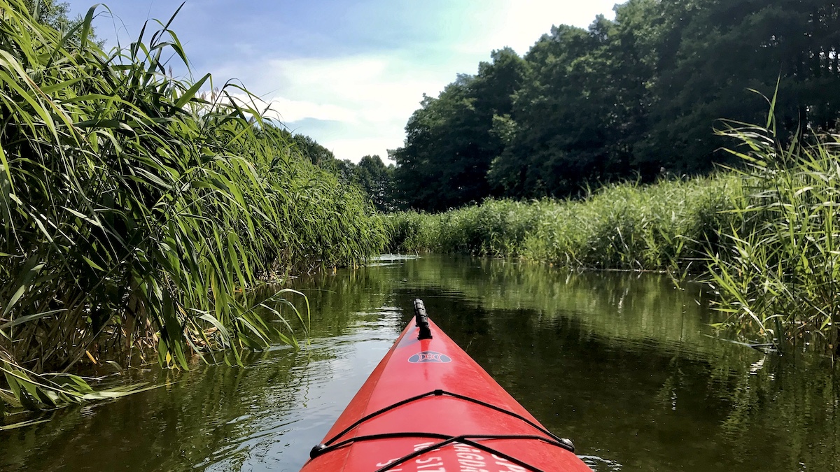 kayak.jpg